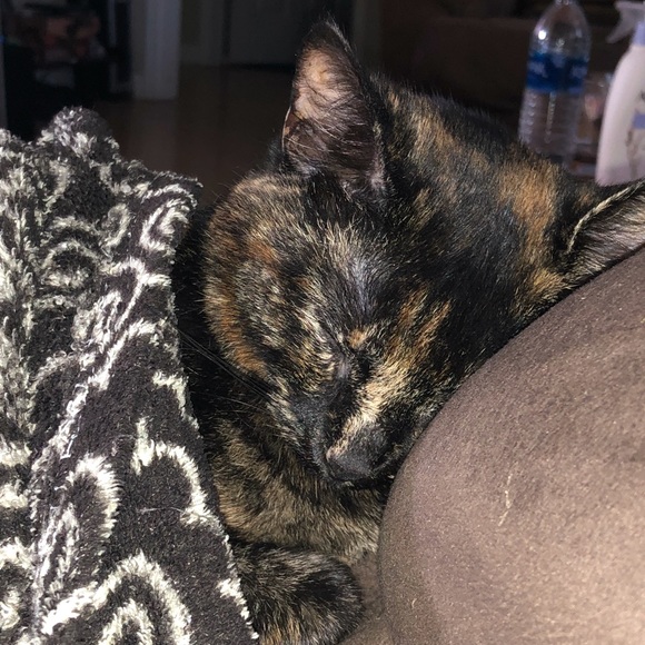 Meet your Posher, Ronda - Picture 1 of 1